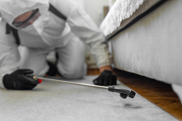 Professional Bed Bug Control technician working in Airport, CA